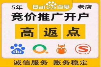 SEM代理服务：助力企业精准营销案例解析